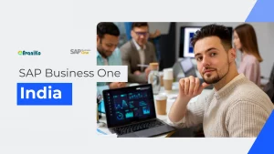 sap-business-one-avaniko