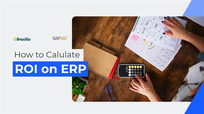 how to calculate roi on erp-avaniko