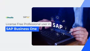 license free professional user in sap business one