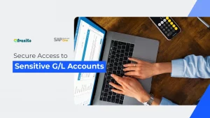 secure access to sensitive gl accounts