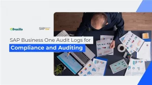 sap business one audit logs for compliance and auditing-avaniko