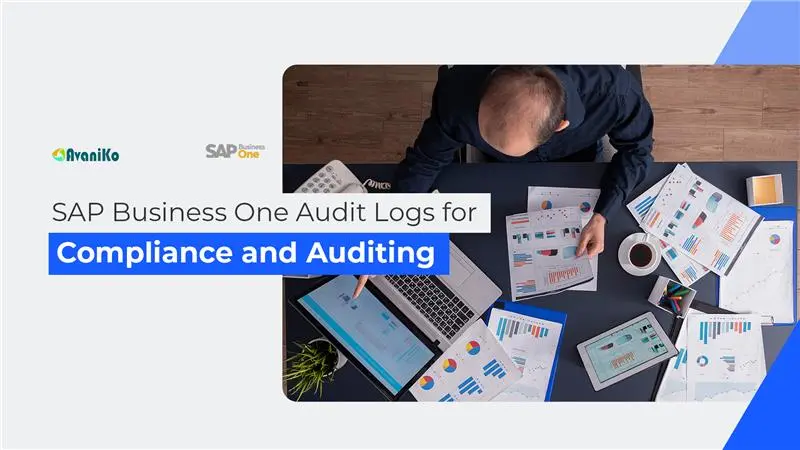 SAP Business One Audit Logs For Compliance And Auditing Avaniko