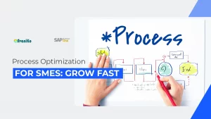 process optimization for smes grow fast